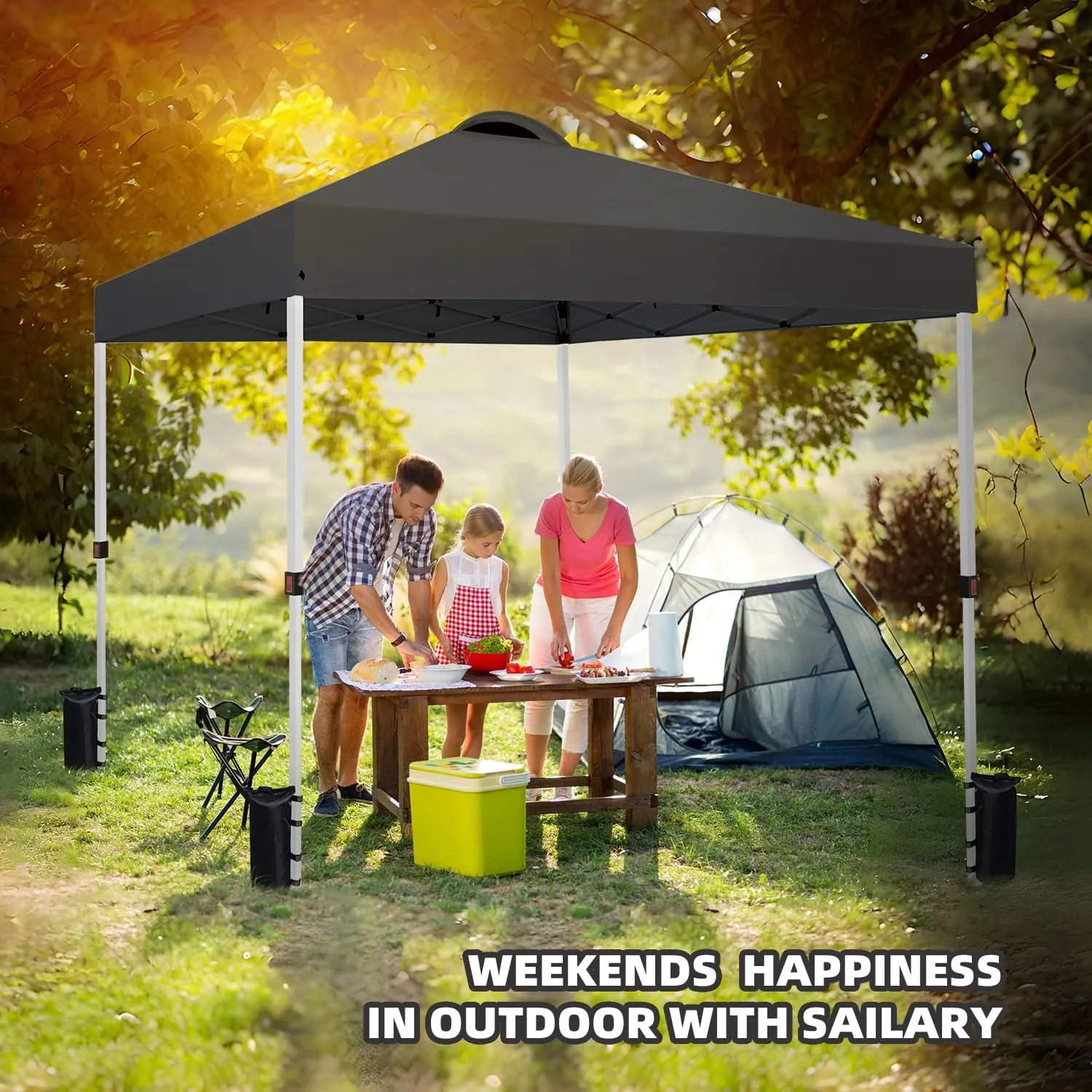 10x10 Heavy Duty Pop up Commercial Canopy Tent Instant Sun Shelter with Roller Bag, Bonus 8 Stakes and 4 Ropes, Black
