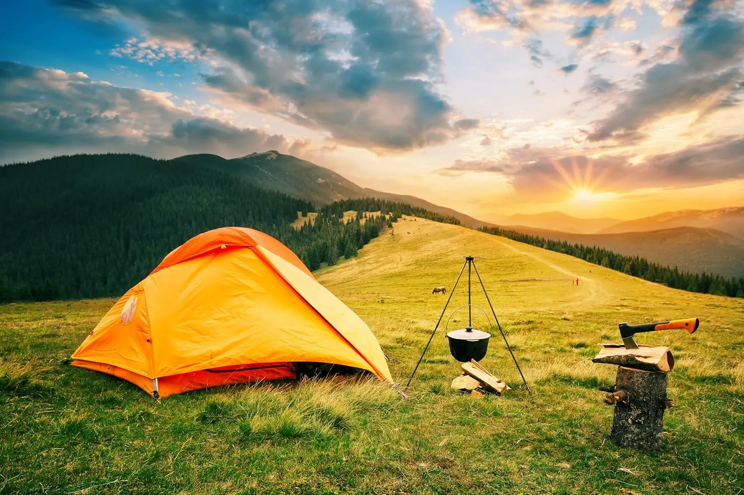 7ftx5ft Camping Backdrop Pine Forest and Mountain Scenery Outdoor Sunrise Background for Camper Tent Theme Birthday Party Backdrop Hiking Climbing Background Photoshoot Props Wallpaper