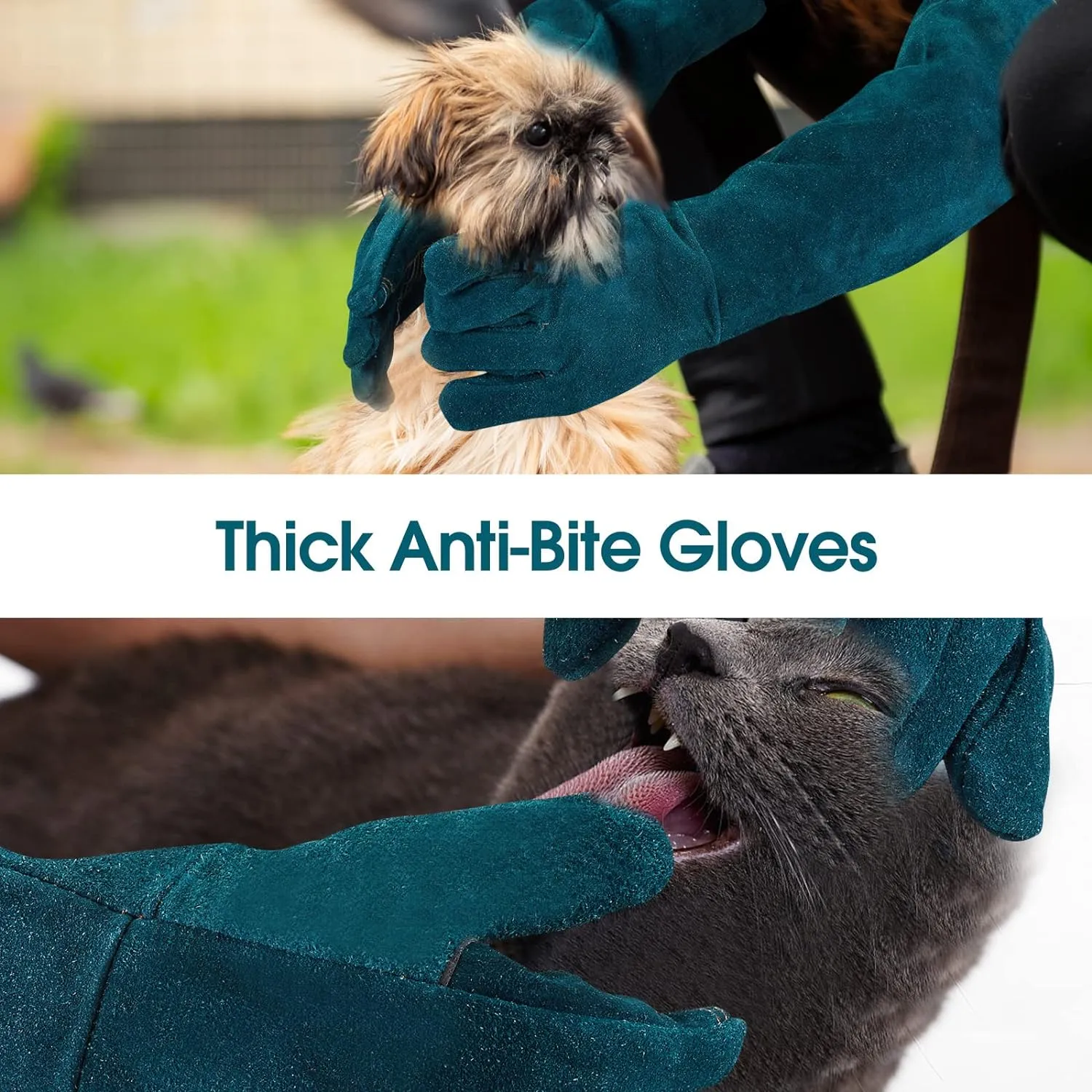Animal Handling Gloves Bite Proof Multipurpose Pet Glove for Trips to Vet Grooming Puncture Proof Training Anti-Bite Scratch for Cat Dog Snake Falcon Grabbing Reptile