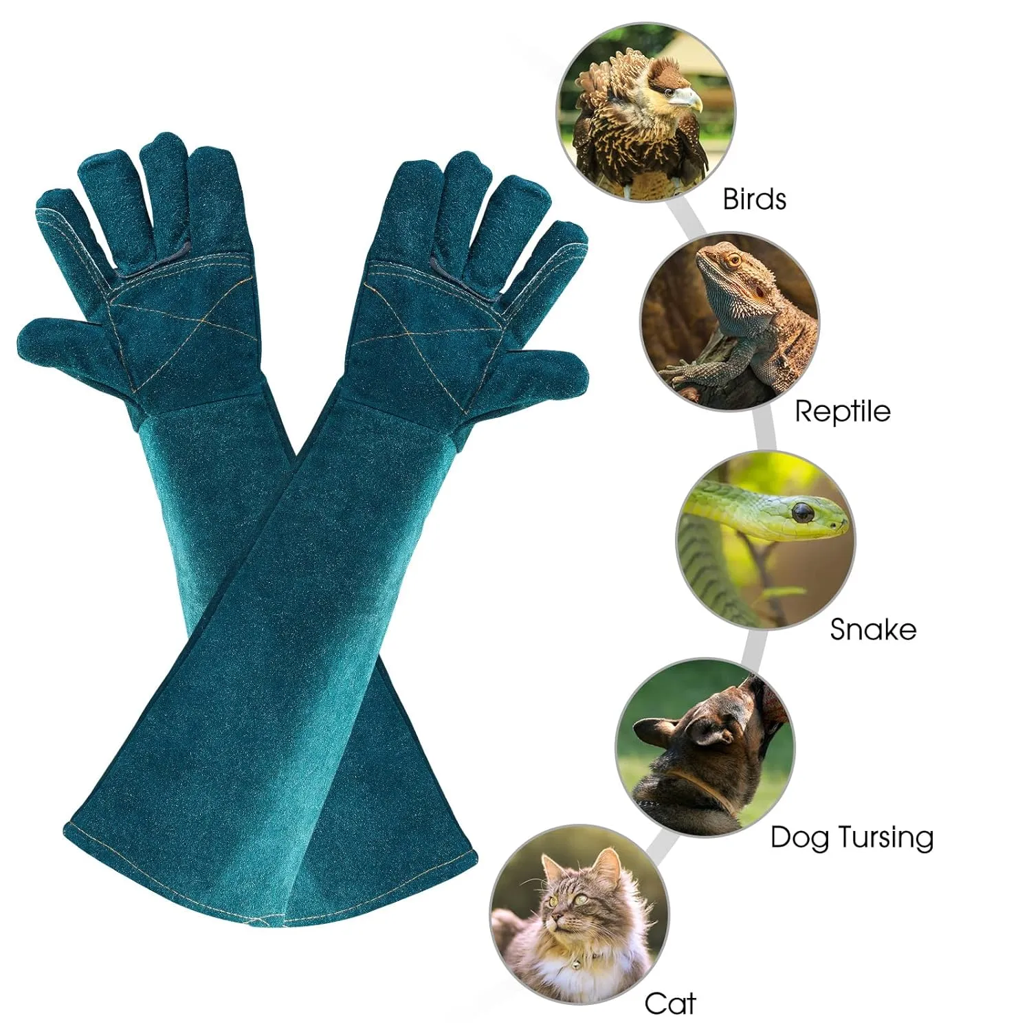Animal Handling Gloves Bite Proof Multipurpose Pet Glove for Trips to Vet Grooming Puncture Proof Training Anti-Bite Scratch for Cat Dog Snake Falcon Grabbing Reptile