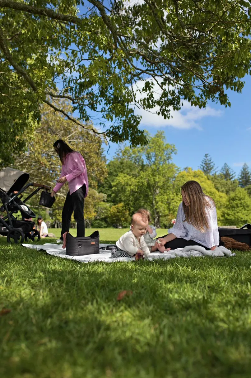 Edwards and Co Stroller Organiser - Canvas
