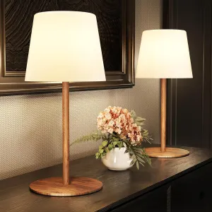 EZVALO 2 Pack Cordless Table Lamp IP 65 Waterproof, Rechargeable Shower Lamp with 4500mAh Battery Operated, 3 Color Temps Dimmable LED Night Light for Living Room, Bathroom, Kitchen, Patio & Camping