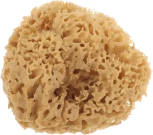 Natural Sea Sponge Bath Ball Gentle Exfoliating Shower Accessory for Deep Cleansing and Improved Skin Circulation for Daily Use and Present Giving