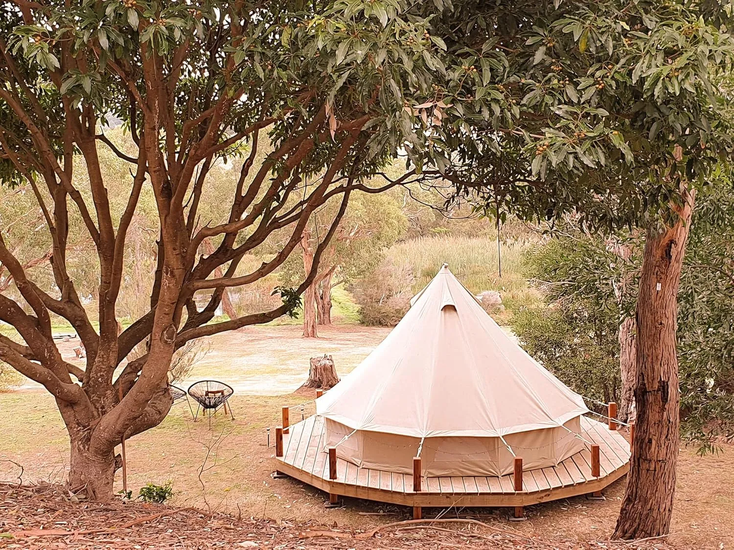 Psyclone Tents for Family Camping, Glamping, Hiking and Festival